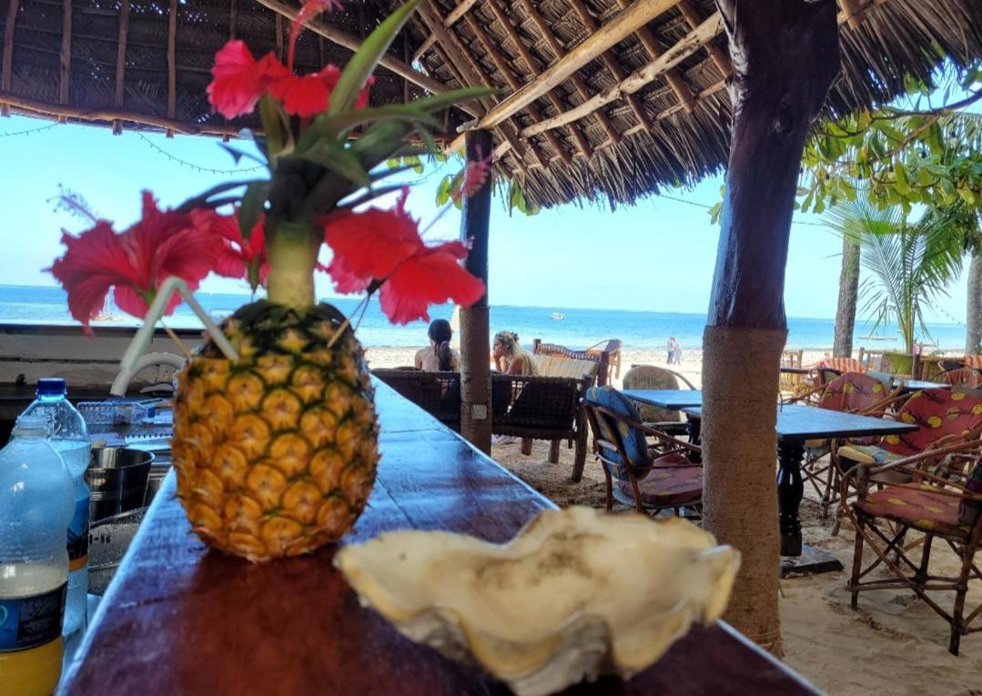 Sipano Beach Lodge Kiwengwa Kiwengwa  Ngoại thất bức ảnh