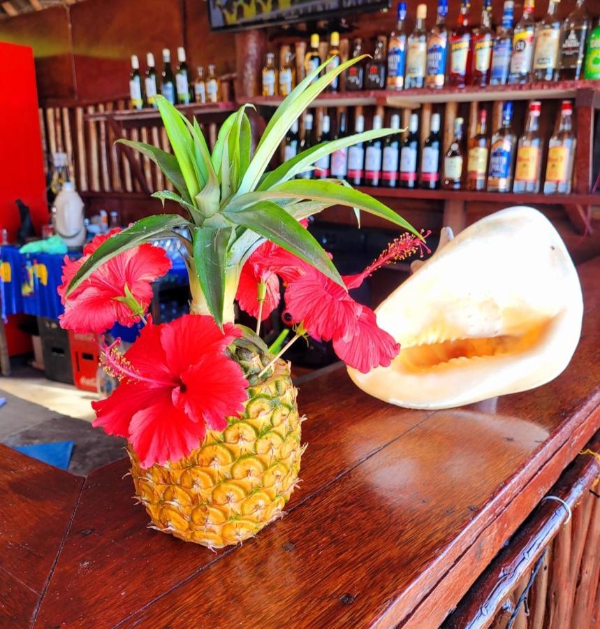 Sipano Beach Lodge Kiwengwa Kiwengwa  Ngoại thất bức ảnh