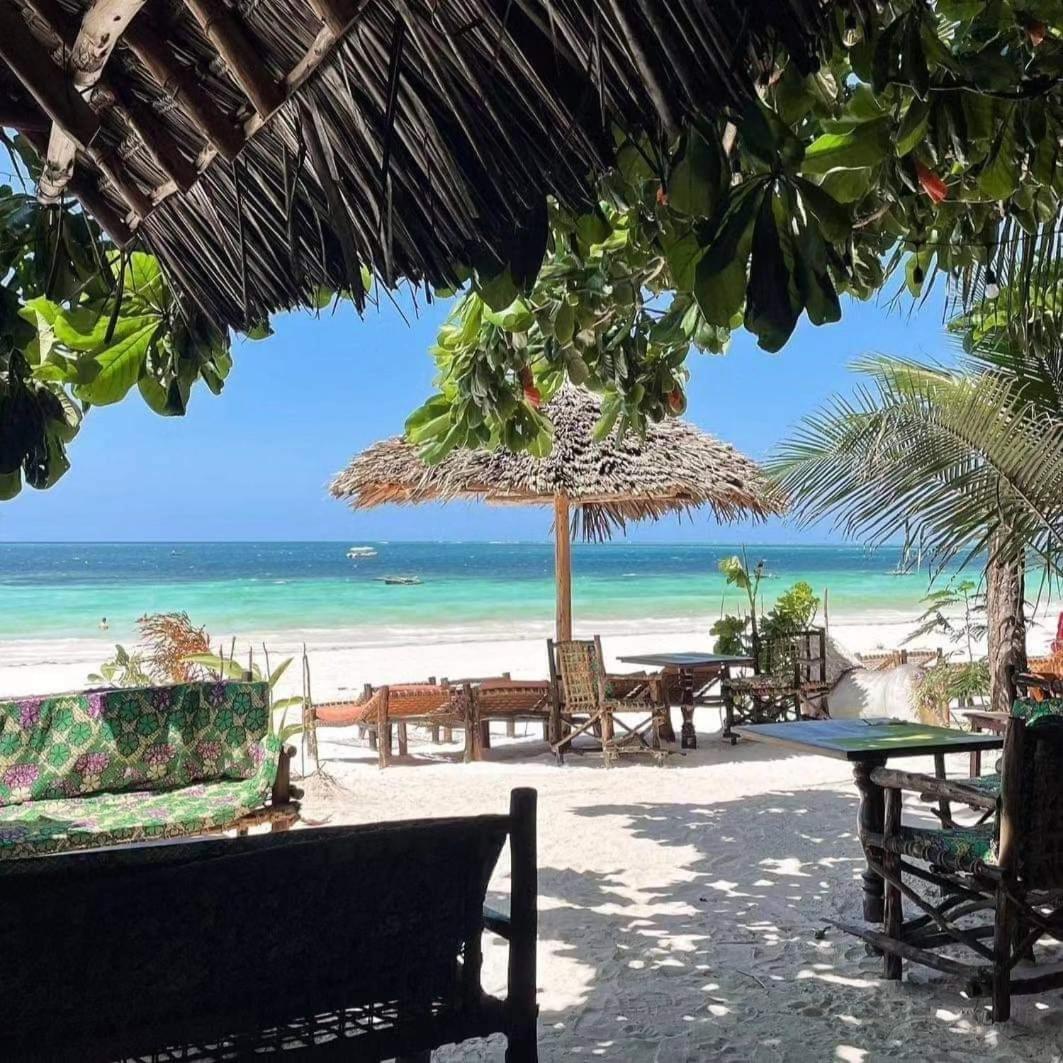 Sipano Beach Lodge Kiwengwa Kiwengwa  Ngoại thất bức ảnh