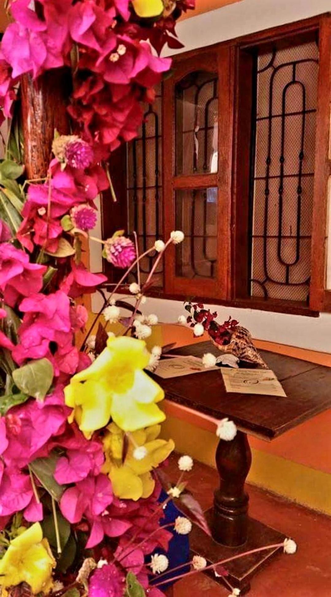Sipano Beach Lodge Kiwengwa Kiwengwa  Ngoại thất bức ảnh