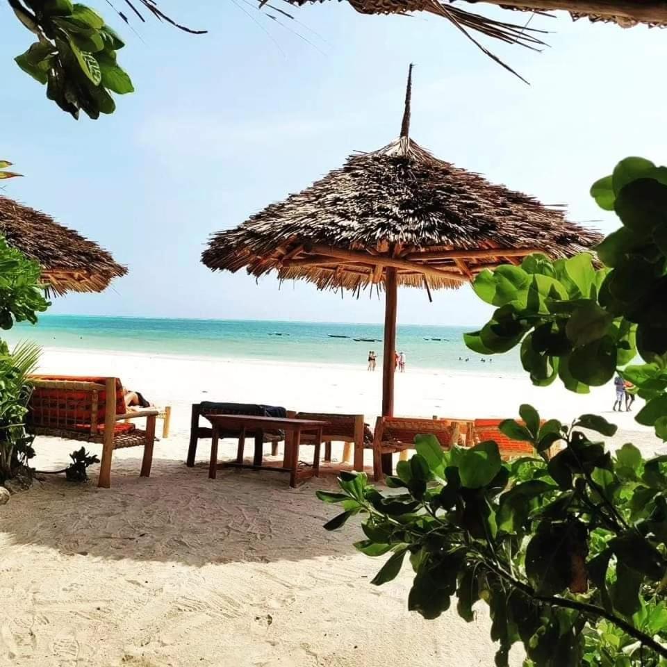 Sipano Beach Lodge Kiwengwa Kiwengwa  Ngoại thất bức ảnh