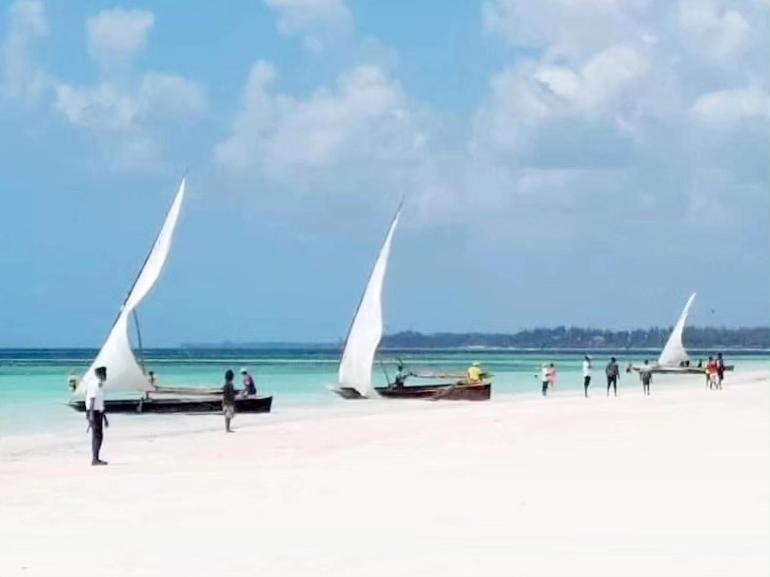Sipano Beach Lodge Kiwengwa Kiwengwa  Ngoại thất bức ảnh