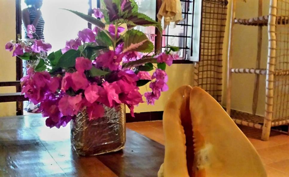 Sipano Beach Lodge Kiwengwa Kiwengwa  Phòng bức ảnh